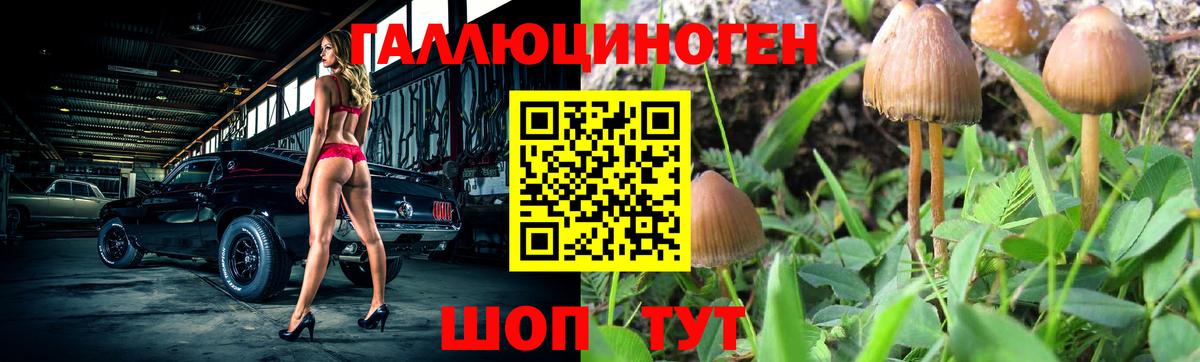 Галлюциногенные грибы мицелий Коломна